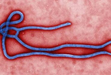 Virus da Ebola